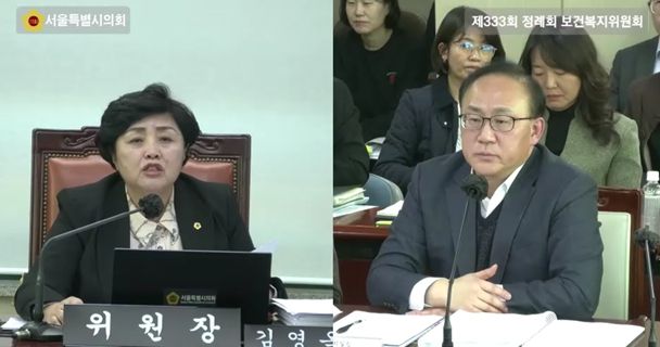 김영옥 서울특별시의회 보건복지위원장