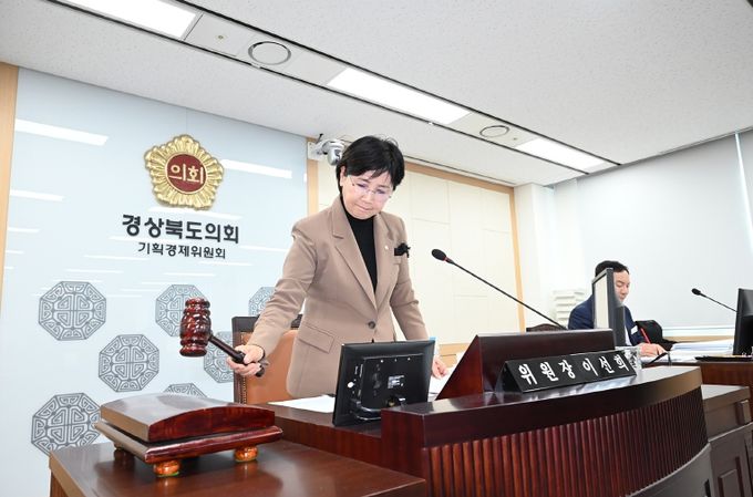 기획경제위원회 회의를 진행하는 이선희 위원장