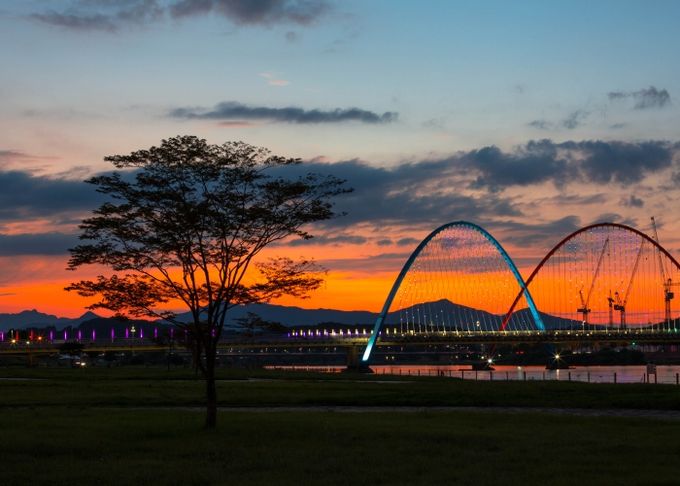 엑스포대교 전경