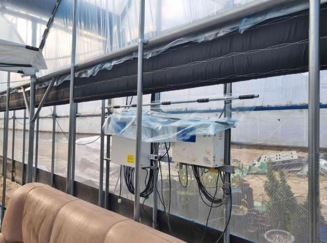 겨울철 농업재해 대비 특별점검 사진