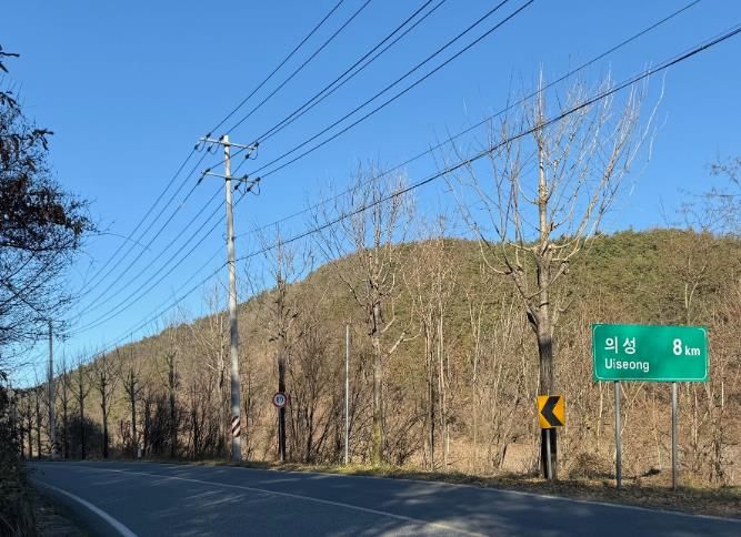 의성군, 주요 시가지 가로수 465본 가지치기 완료