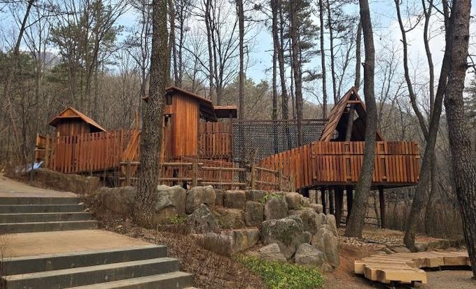 트리하우스 놀이시설 전경.