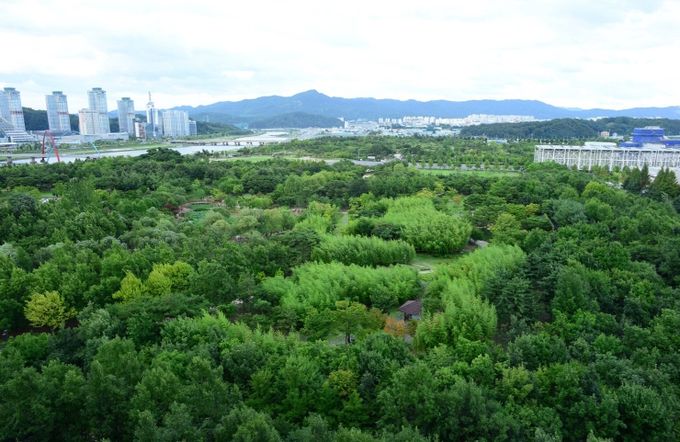 대전시 기후대응숲 3년 동안 19.3㏊ 조성