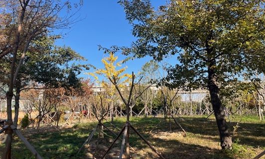 2025년 신일반산단 기후대응 도시숲 조성사진