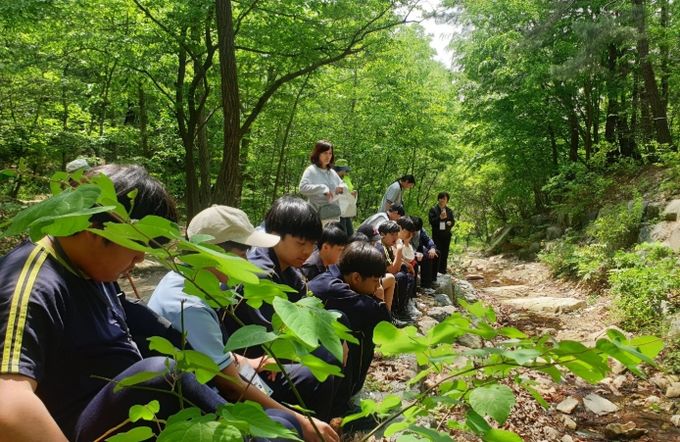 2025년 생태전환교육