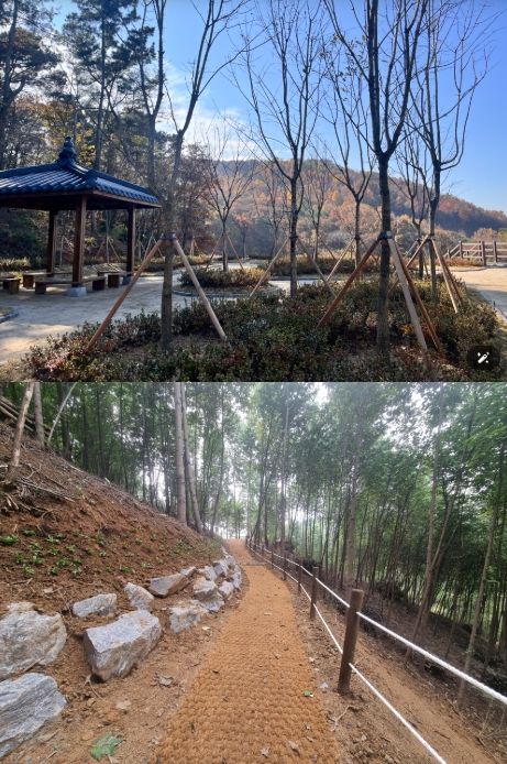 신안수변 도시숲, 다정행복 도시숲