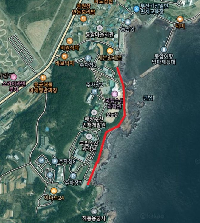 , 새해 해맞이 ‘갈맷길 해안로’ 일부 통제