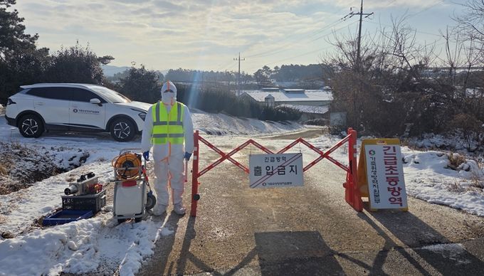 방역 현장 사진
