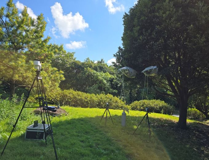 난대숲 피톤치드 발산추이 연구
