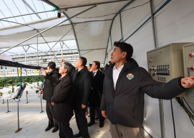 김진태 강원도지사, 시설원예 농가 한파 대비 점검