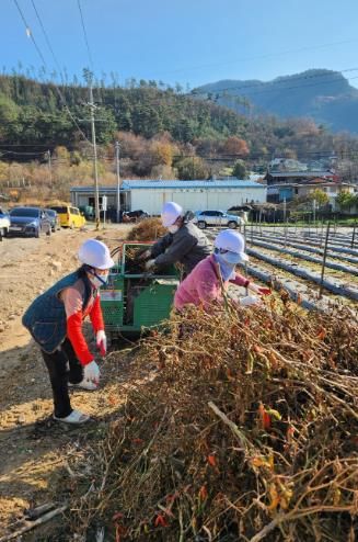 무주군, 영농부산물 파쇄지원 서비스 눈길, 미세먼지 저감 및 산불 예방 효과 기대