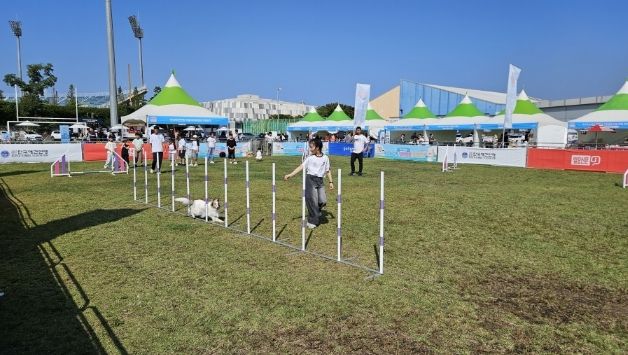 반려동물 문화축제 행사 현장. 사진2. 한우농가 현장