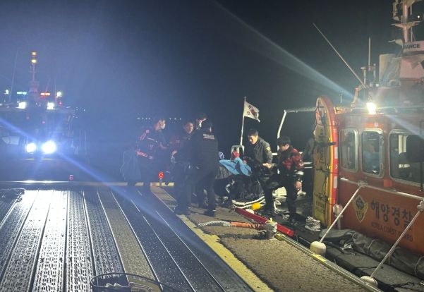 육상으로 이동중인 모습