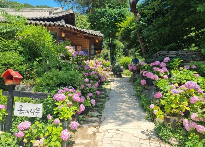 남양주시, 치유농업 경쟁력 확보…우수시설 인증 2곳 성과