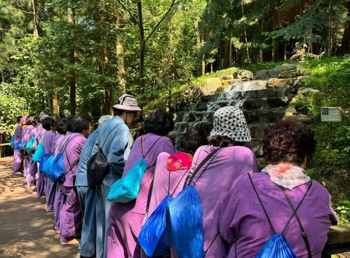 전남마음건강치유센터 프로그램