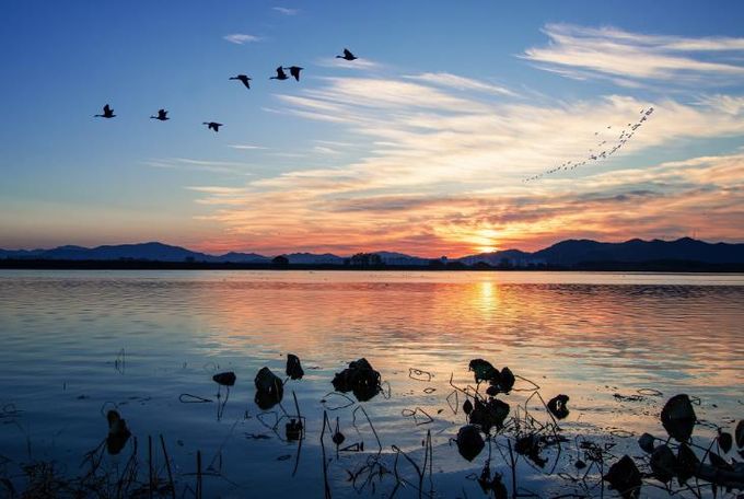 주남저수지 전경