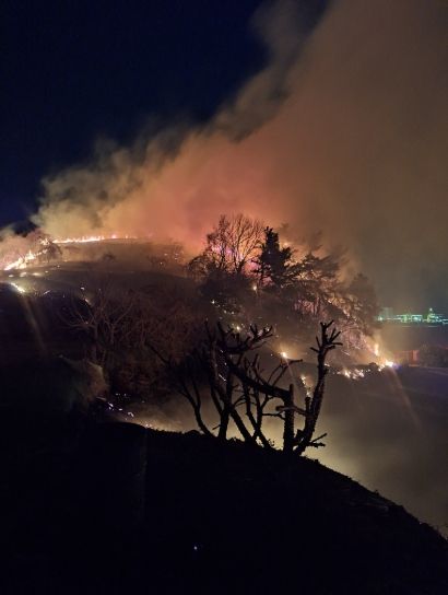 지난 8일 묘도동 산불 현장사진
