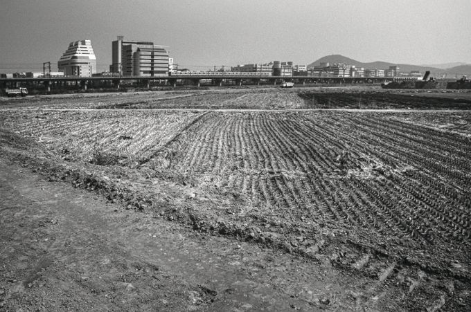 1995년도 고잔뜰 전경, 현재는 고잔신도시가 조성되어 아파트 단지로 변모했다.