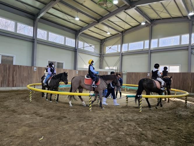 경기도 승마체험 지원