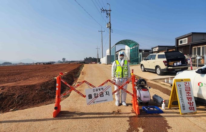 아프리카돼지열병 방역 현장