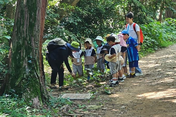 유아숲 교육 프로그램 활동