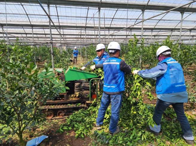 영농부산물 안전처리 파쇄단 활동(2025년)