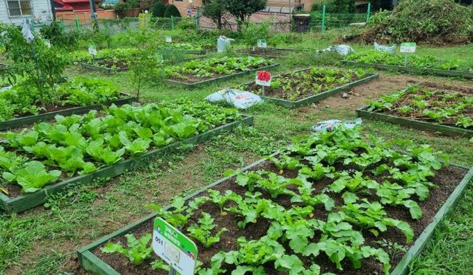 강북 도시농업 체험장 전경