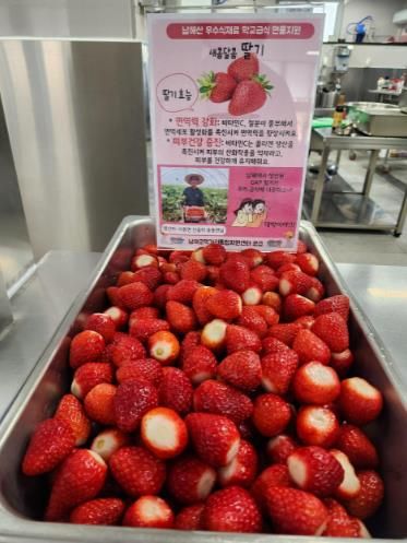남해군, 남해산 GAP 딸기 학교급식 현물 지원