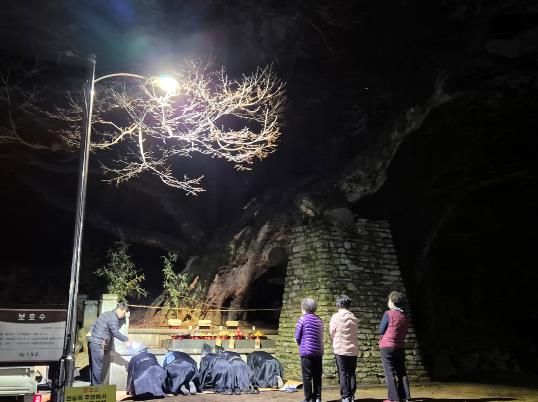 고성문화원 ‘전승목 당산제’ 개최