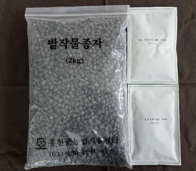 홍천군, 씨감자 안정 공급 및 자체 채종 밭작물(들깨, 재래 서리태) 종자 보급